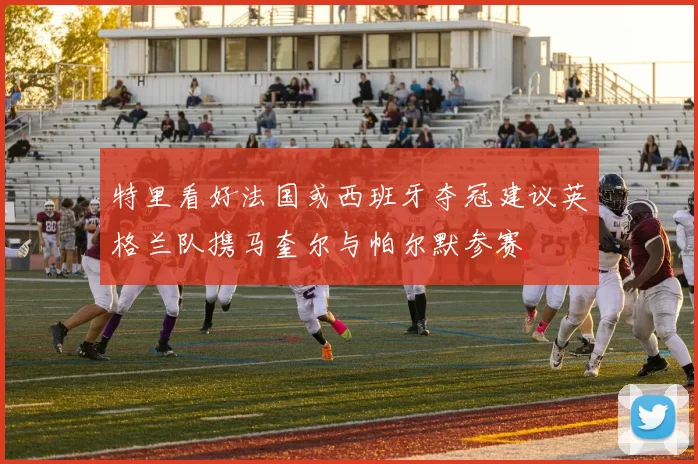 特里看好法国或西班牙夺冠建议英格兰队携马奎尔与帕尔默参赛
