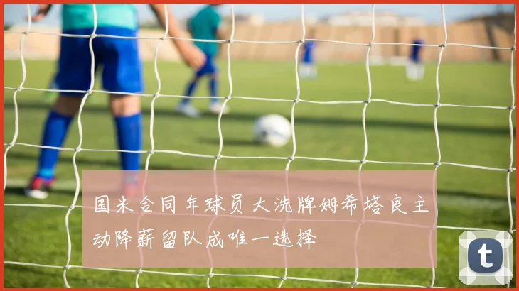 国米合同年球员大洗牌姆希塔良主动降薪留队成唯一选择
