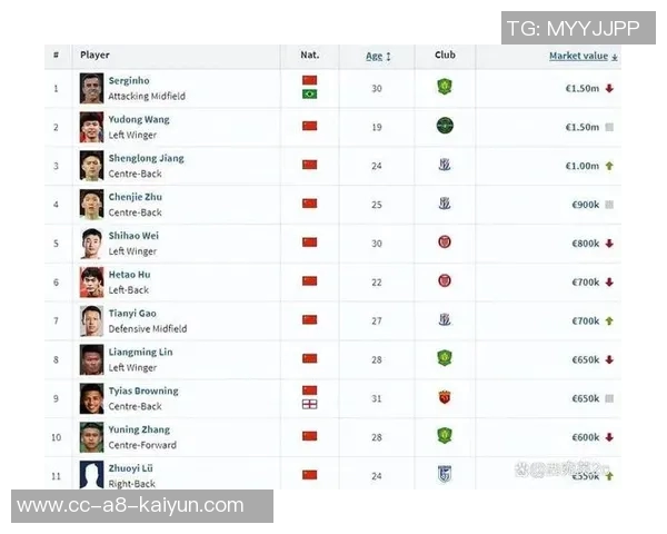 浙江队球员身价波动分析张瑷晖等四人上涨16人下跌王钰栋米特里策保持不变